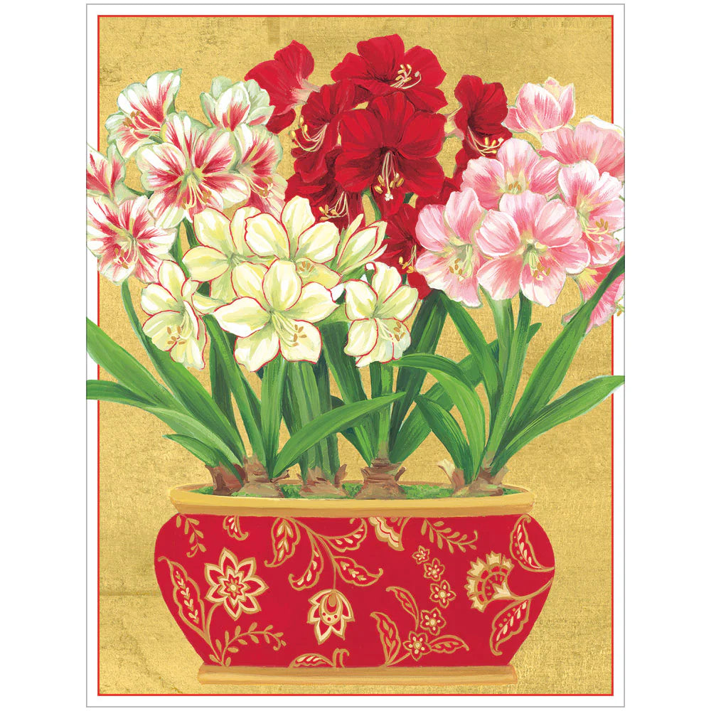 Tarjetas de navidad Amaryllis In Pot Christmas (Paquete de tarjetas en celofán: 5 tarjetas y 5 sobres)
