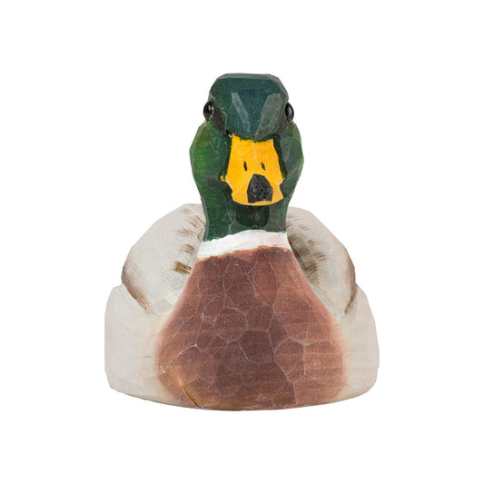 Abridor de chapas pato