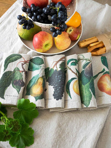 Set de seis servilletas de lino estampadas de frutas
