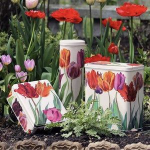 Lata para pasta o botella de vino diseño de tulipanes de colores