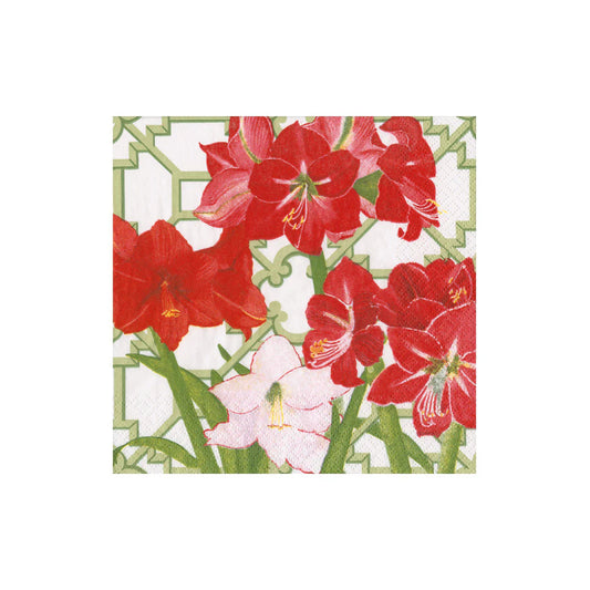 Servilletas Cocktail de papel diseño Amaryllis Conservatory