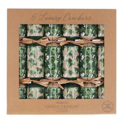 Crackers modelo Ivy ( 6 unidades)
