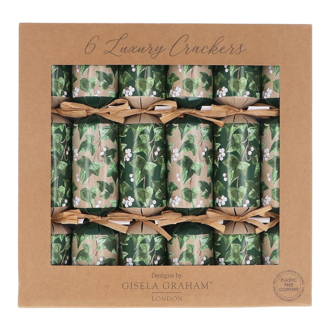 Crackers modelo Ivy ( 6 unidades)