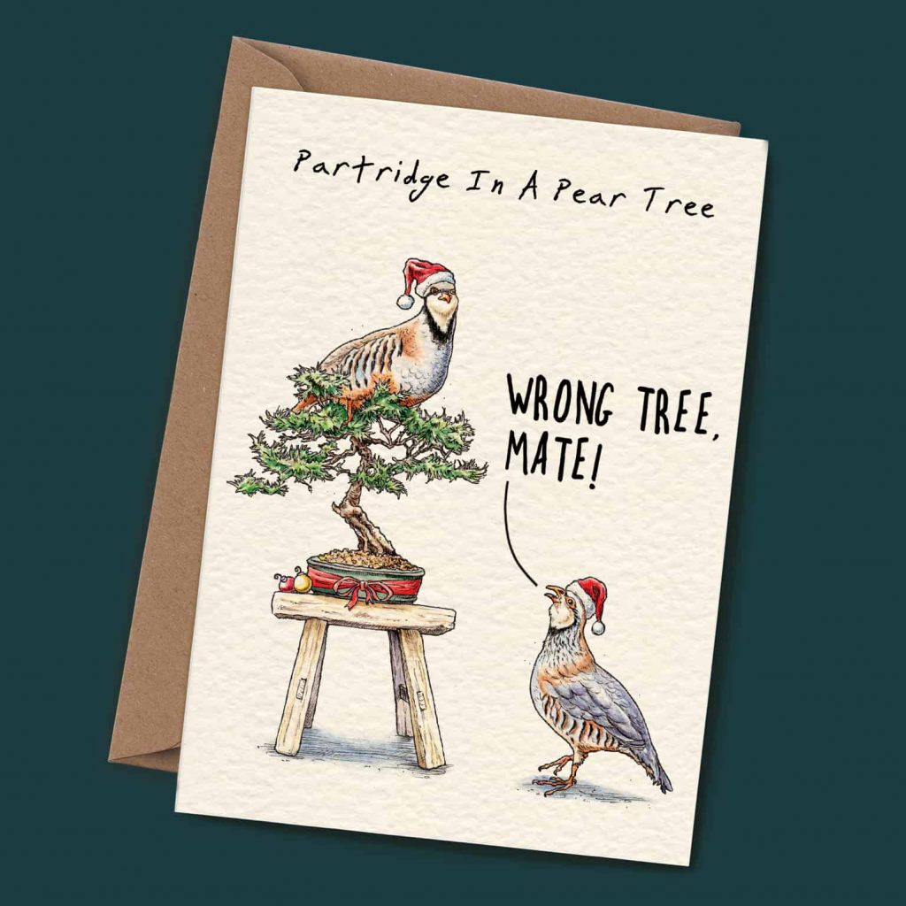 Pack de 12 tarjetas de Navidad “12 Days of Christmas”