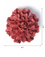 Cargar imagen en el visor de la galería, Clavel tundra rosa rubor