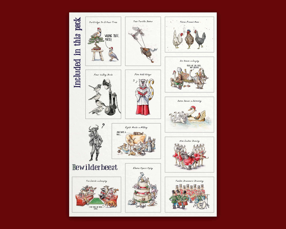 Pack de 12 tarjetas de Navidad “12 Days of Christmas”