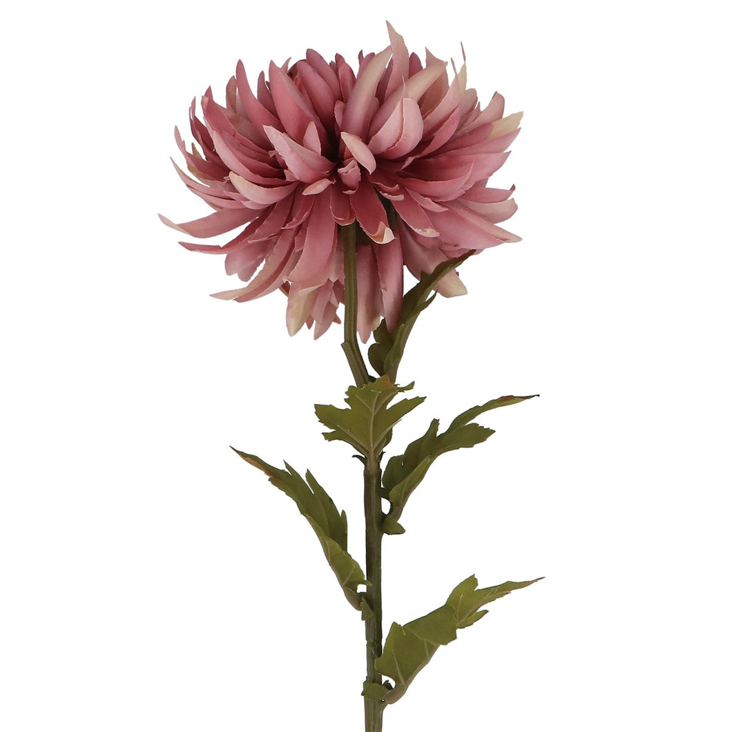 Tallo de Crisantemo Rosa Empolvado