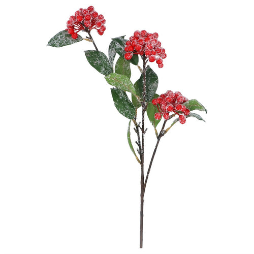 Racimo de Bayas Rojas Escarchadas