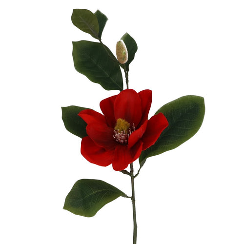 Tallo de Magnolia Rojo