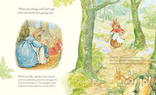 Cargar imagen en el visor de la galería, Set de regalo de peluche y libro Peter Rabbit