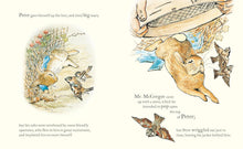 Cargar imagen en el visor de la galería, Set de regalo de peluche y libro Peter Rabbit