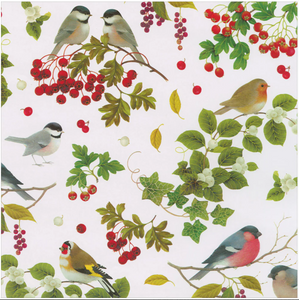 Rollo de papel de regalo blanco Winter Birds