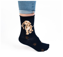 Cargar imagen en el visor de la galería, Calcetines diseño labrador (35-38)