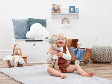 Cargar imagen en el visor de la galería, Peluche Peter Rabbit con chaqueta