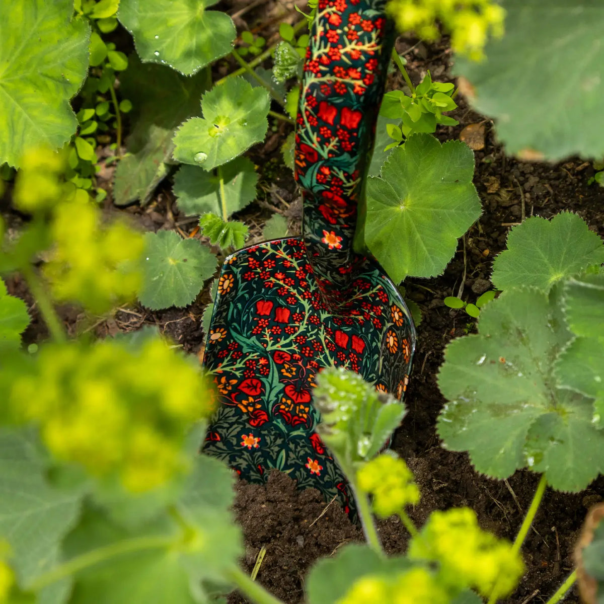 Juego de herramientas de jardinería y almohadón de rodillas