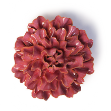 Cargar imagen en el visor de la galería, Clavel tundra rosa rubor