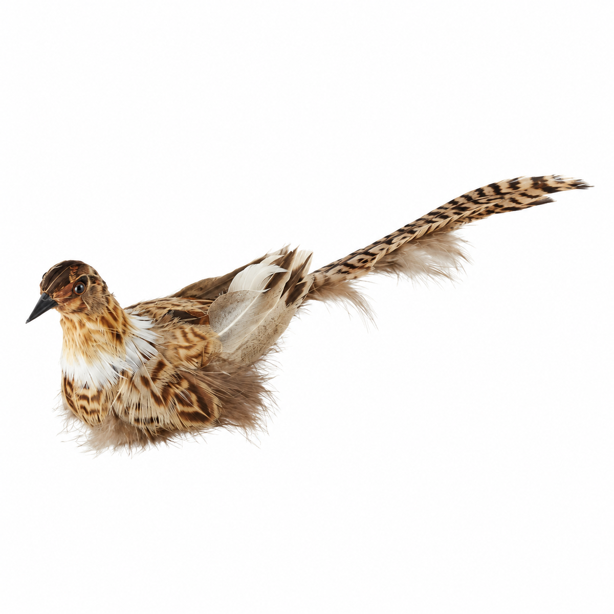 Pájaro decorativo con plumas y pinza