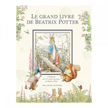 Cargar imagen en el visor de la galería, Libro de cuentos Peter Rabbit en Francés