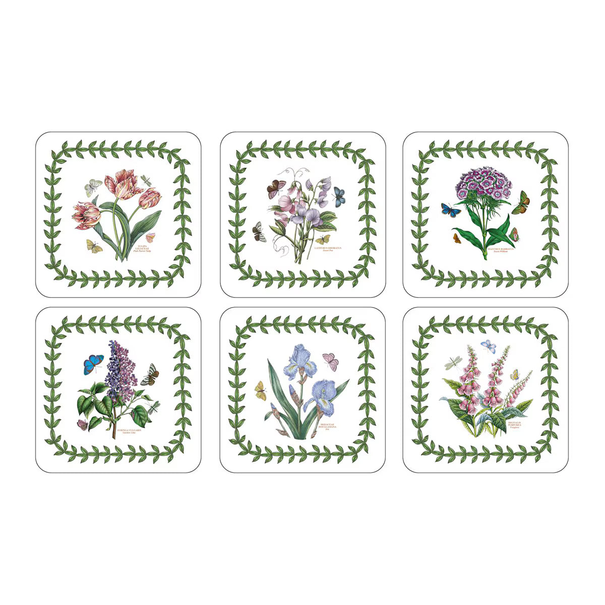 Seis posavasos diseño Botanica