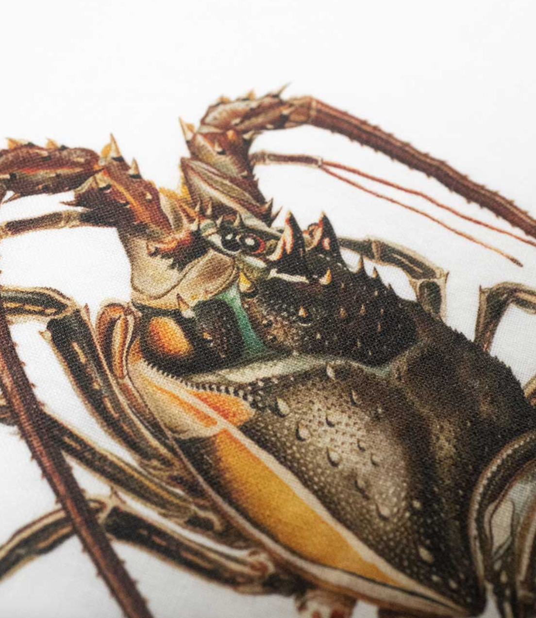 Trapos de cocina de lino con estampado de una nécora y bogavante