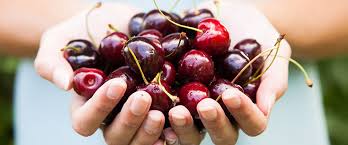 Mermelada de cerezas Wilkin & Sons